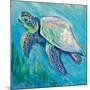 Sea Turtle Swim Light Flipped-Jeanette Vertentes-Mounted Art Print