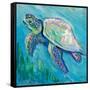 Sea Turtle Swim Light Flipped-Jeanette Vertentes-Framed Stretched Canvas