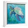 Sea Turtle Swim Light Flipped-Jeanette Vertentes-Framed Art Print