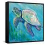 Sea Turtle Swim Light Flipped-Jeanette Vertentes-Framed Stretched Canvas