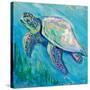 Sea Turtle Swim Light Flipped-Jeanette Vertentes-Stretched Canvas