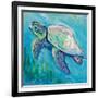 Sea Turtle Swim Light Flipped-Jeanette Vertentes-Framed Premium Giclee Print