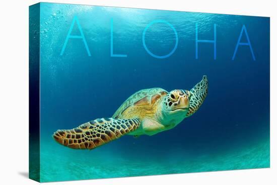 Sea Turtle Swimming - Aloha-Lantern Press-Stretched Canvas