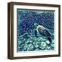 Sea Turtle Swimming Underwater. Digital Illustration in Watercolor Style. Exotic Wild Animal in Nat-Davdeka-Framed Art Print