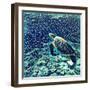 Sea Turtle Swimming Underwater. Digital Illustration in Watercolor Style. Exotic Wild Animal in Nat-Davdeka-Framed Art Print