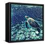 Sea Turtle Swimming Underwater. Digital Illustration in Watercolor Style. Exotic Wild Animal in Nat-Davdeka-Framed Stretched Canvas