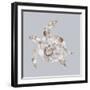 Sea Turtle-Justin Lloyd-Framed Giclee Print