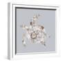 Sea Turtle-Justin Lloyd-Framed Giclee Print