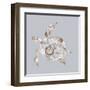 Sea Turtle-Justin Lloyd-Framed Art Print