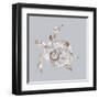 Sea Turtle-Justin Lloyd-Framed Art Print