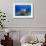Sea Turtle-aquanaut-Framed Photographic Print displayed on a wall