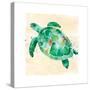 Sea Turtle-Sara Berrenson-Stretched Canvas