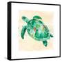 Sea Turtle-Sara Berrenson-Framed Stretched Canvas