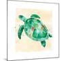 Sea Turtle-Sara Berrenson-Mounted Art Print