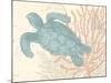 Sea Turtle-N. Harbick-Mounted Art Print