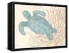 Sea Turtle-N. Harbick-Framed Stretched Canvas