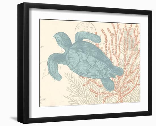 Sea Turtle-N. Harbick-Framed Art Print