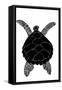 Sea Turtle-vvoevale-Framed Stretched Canvas