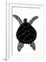 Sea Turtle-vvoevale-Framed Art Print