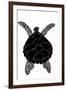 Sea Turtle-vvoevale-Framed Art Print