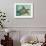 Sea Turtle-Karen Williams-Framed Premium Giclee Print displayed on a wall