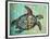 Sea Turtle-Karen Williams-Framed Premium Giclee Print