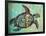 Sea Turtle-Karen Williams-Framed Giclee Print