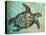 Sea Turtle-Karen Williams-Stretched Canvas