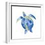 Sea Turtle-Mercedes Lopez Charro-Framed Art Print