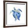 Sea Turtle-Mercedes Lopez Charro-Framed Art Print