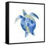 Sea Turtle-Mercedes Lopez Charro-Framed Stretched Canvas