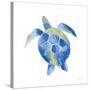 Sea Turtle-Mercedes Lopez Charro-Stretched Canvas
