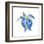 Sea Turtle-Mercedes Lopez Charro-Framed Art Print