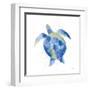 Sea Turtle-Mercedes Lopez Charro-Framed Art Print