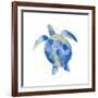 Sea Turtle-Mercedes Lopez Charro-Framed Art Print