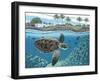 Sea Turtle-Palmer Artworks-Framed Giclee Print