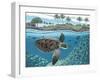 Sea Turtle-Palmer Artworks-Framed Giclee Print