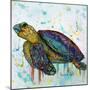 Sea Turtle-Karrie Evenson-Mounted Art Print