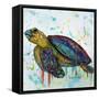 Sea Turtle-Karrie Evenson-Framed Stretched Canvas