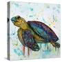 Sea Turtle-Karrie Evenson-Stretched Canvas