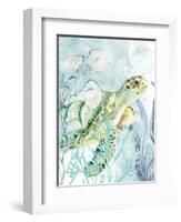 Sea Turtle-Kimberly Allen-Framed Art Print