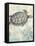 Sea Turtles I-Piper Ballantyne-Framed Stretched Canvas