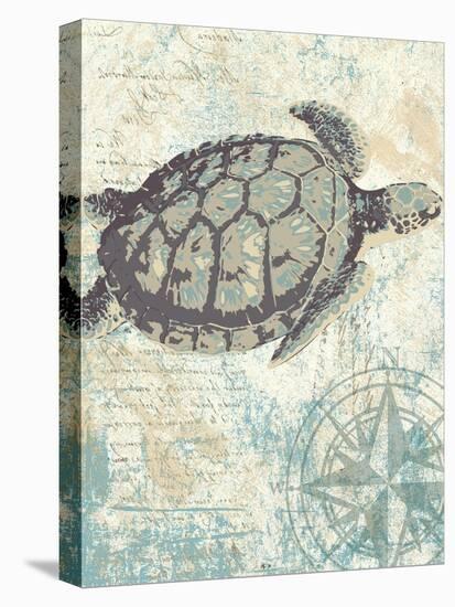 Sea Turtles I-Piper Ballantyne-Stretched Canvas