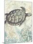 Sea Turtles I-Piper Ballantyne-Mounted Art Print