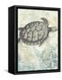 Sea Turtles I-Piper Ballantyne-Framed Stretched Canvas