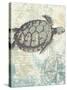 Sea Turtles I-Piper Ballantyne-Stretched Canvas