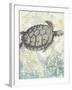 Sea Turtles I-Piper Ballantyne-Framed Art Print