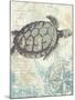 Sea Turtles I-Piper Ballantyne-Mounted Art Print