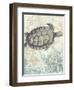 Sea Turtles I-Piper Ballantyne-Framed Art Print