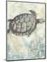 Sea Turtles I-Piper Ballantyne-Mounted Art Print